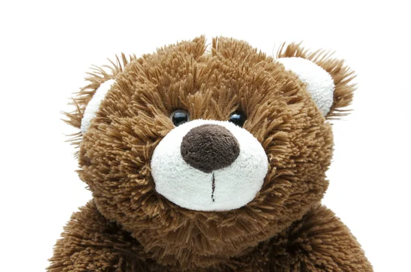 Cute Brown Bear Toy Soft Plush Muzzle Ears Paws Head — Stock Photo, Image