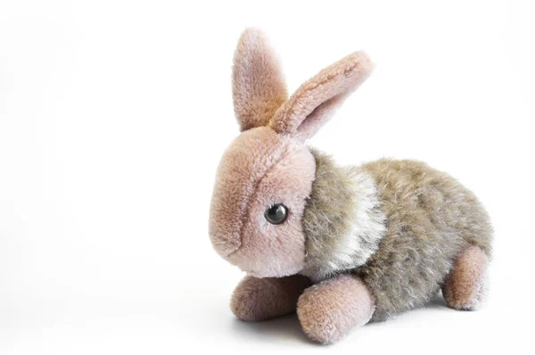 Rabbit Hare Soft Toy Childrens White Background — Stockfoto