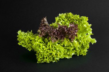 Marul yaprakları. Yeşil ve kırmızı. Siyah bir arkaplanda