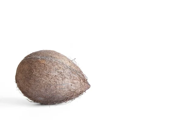 Kokosowe Zbliżenie Białym Tle — Zdjęcie stockowe
