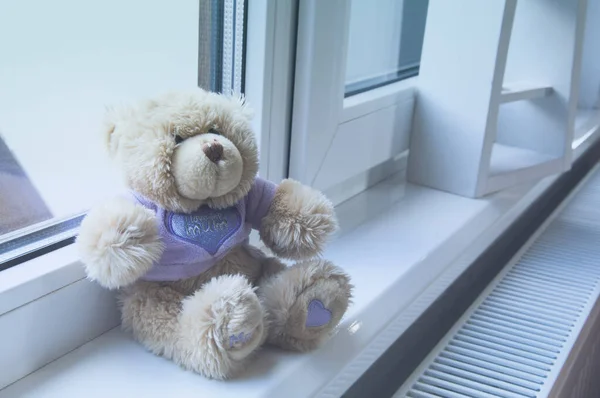 Teddy bear on the windowsill. The toy is soft.