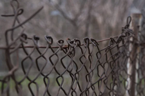 金属网与细胞 生锈的金属Fence — 图库照片