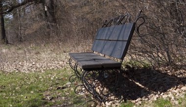 Parktaki ahşap bank. Ormanda Sonbaharda, Yazda