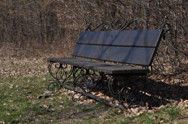 Parktaki ahşap bank. Ormanda Sonbaharda, Yazda