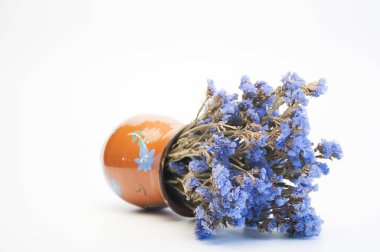 Flowers 'la vazo. Mavi renkli. Kuru çiçekler. Beyaz bir arkaplanda