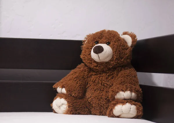 Тедді Ведмідь Дитяча Яка Іграшка Brown Bear — стокове фото