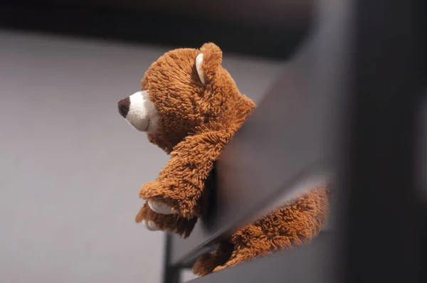 Teddybjörnen Barnslig Mjuk Leksak Brun Björn — Stockfoto