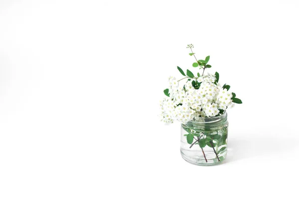 Bouquet White Flowers Vase Table Spring White Background — Stock Photo, Image