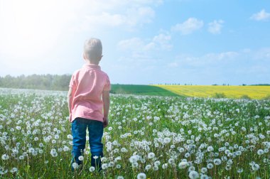 Çimenlikte bir çocuk, karahindibaların arasında. Yaz. Neşeli bebek