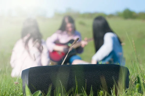 People are sitting on the grass. Listen to music from a portable audio speaker