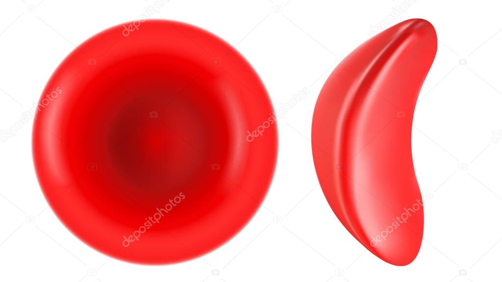 Sickle cell and normal red blood cell illustration
