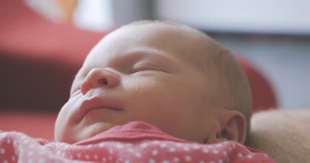 Neugeborenes schläft auf dem Schoß des Vaters 4k — Stockvideo