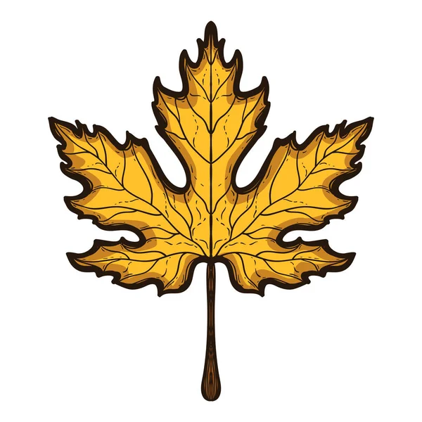 Jesienny liść klonu. Ręcznie rysowane kolorowy szkic — Wektor stockowy