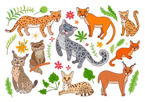 Bir grup vahşi kedi. Vektör karikatür egzotik hayvanlar — Stok Vektör