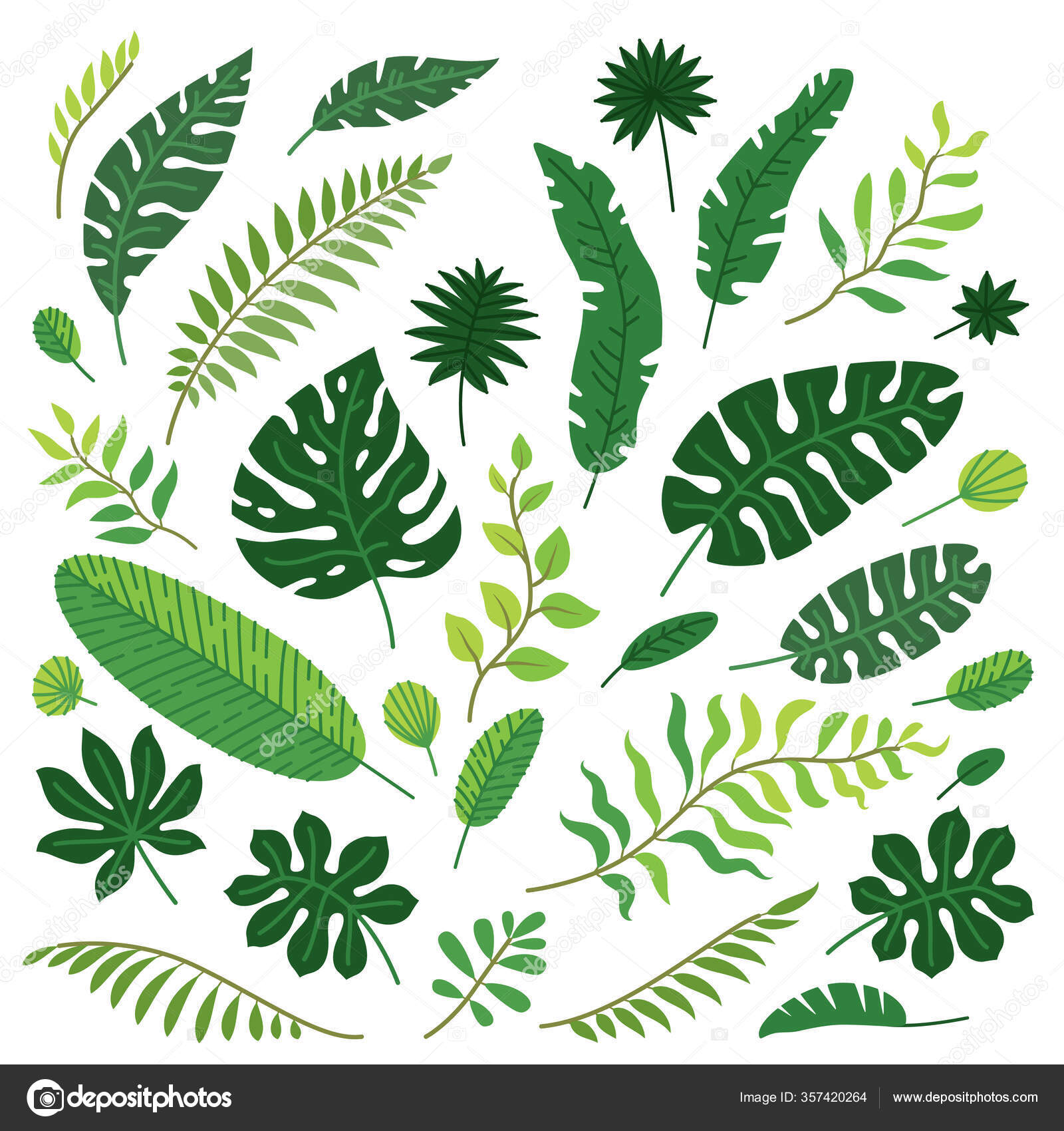 Vector cartoon set of tropical leaves isolated Stock Vector Image by ©PictuLandra #357420264 Vector cartoon set of tropical leaves isolated Stock Vector Image by ©PictuLandra #357420264