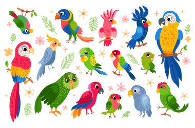Set of tropical parrots characters clipart