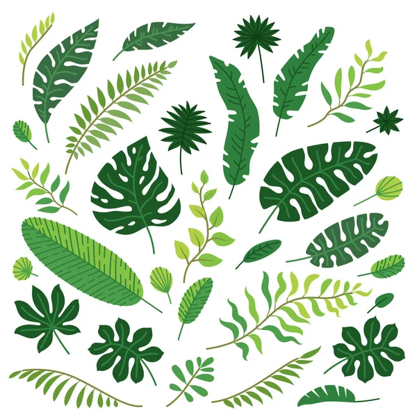 Vector cartoon set of tropical leaves isolated Stock Vector