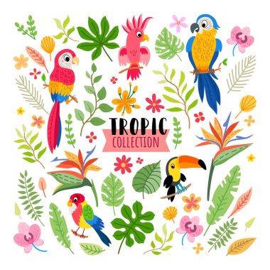 Orman partisi ya da düğün için tropikal set.