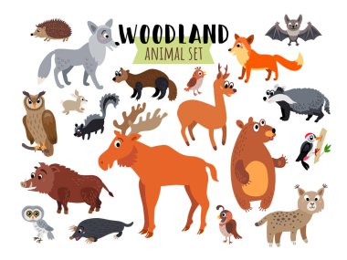 Woodland Ormanı Hayvanları beyaz üzerine izole edildi