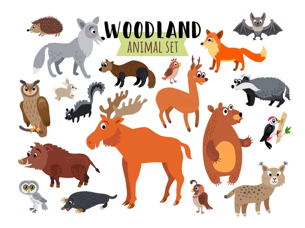 Woodland Ormanı Hayvanları beyaz üzerine izole edildi — Stok Vektör