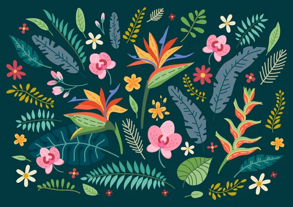 Colección de flores tropicales. Un conjunto floral — Vector de stock