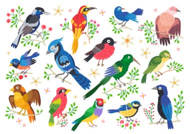 Set of forest birds. Vector cartoon songbirds clipart