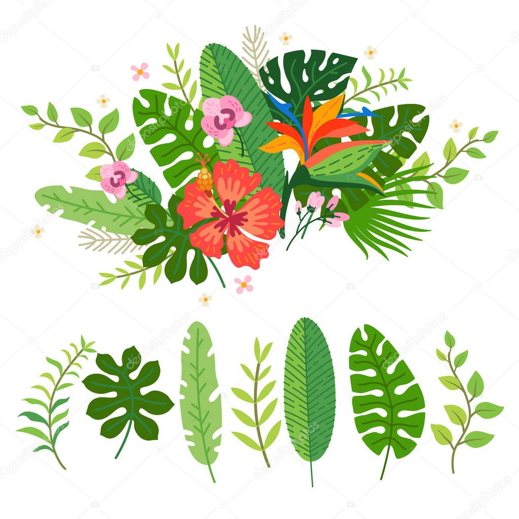 Colección de flores tropicales. Un conjunto floral Vector de stock por  ©PictuLandra 363460058, image size:1024x1024