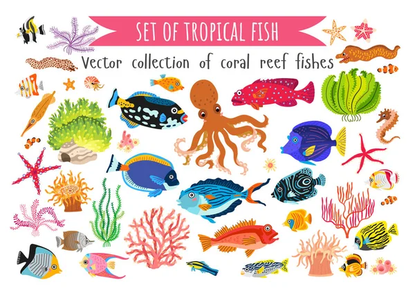 フラットスタイルのサンゴ魚や海藻のセット — ストックベクタ