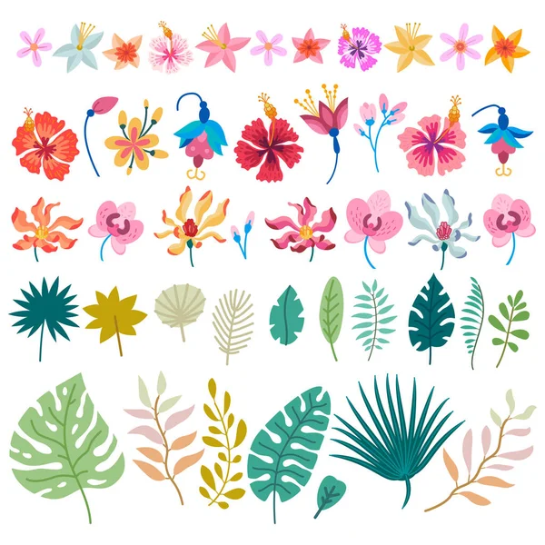 Big set of tropical flowers. Floral elements — Stock Vector