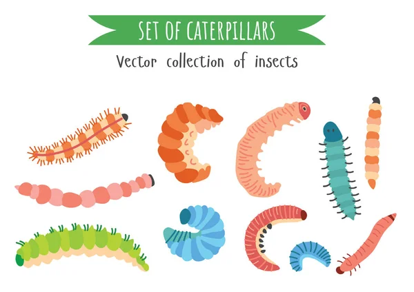En uppsättning av olika färgglada tecknade larver — Stock vektor