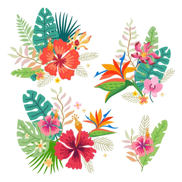 Coleção de flores tropicais. Um conjunto floral —  Vetores de Stock