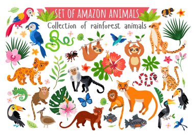 An Amazon rainforest jungle animals set. Vector clipart
