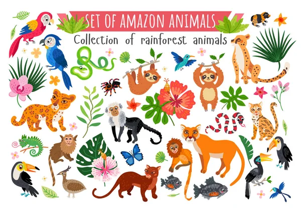 Un conjunto de animales de selva amazónica. Vector — Archivo Imágenes Vectoriales