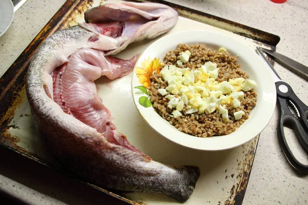 Cooking chopped up fish luce on oven-tray with egg and buckwheat stuffing — Stock Image Cooking Chopped Fish Luce Oven Tray Egg Buckwheat Stuffing Stock Photo