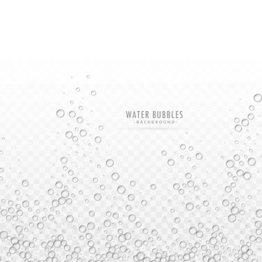 Beyaz arka plan şeffaf su kabarcıkları vektör