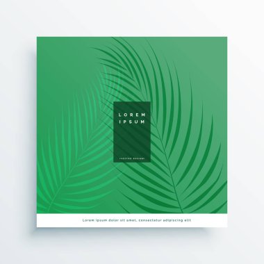 zarif yeşil doğa arka plan yaprak ile