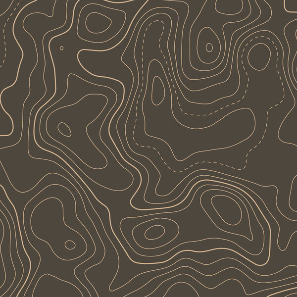 topographic contour map elevation background