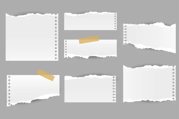 Collection de feuilles de notes en papier déchiré — Image vectorielle