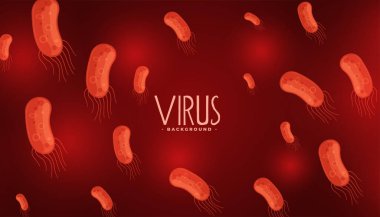 kan virüsü ya da bakteri enfeksiyonu