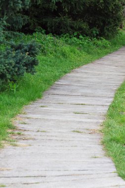 Yolu bir ormanlık alana önde gelen bir parkta. Ahşap yol ahşap boardwalks, sammer Park ahşap kaldırımlar