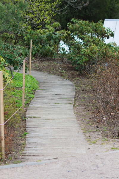 Pathway in a park leading to a forested area. Wooden path wooden boardwalks, wooden sidewalks, in sammer park