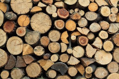 Yığılmış günlükleri doku, doğal arka plan. Kesit ahşap arka plan için yakacak odun yığını