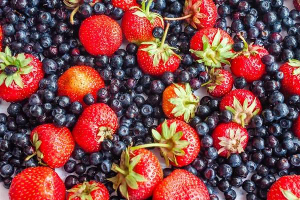 Berries variety - berries background: strawberries, blueberries — Stock Photo, Image