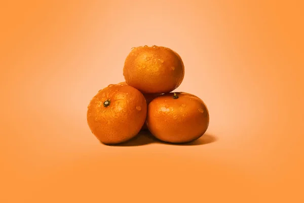 Laranja madura tangerina fresca e molhada, fruta clementina, gotas de água, sobre fundo laranja — Fotografia de Stock
