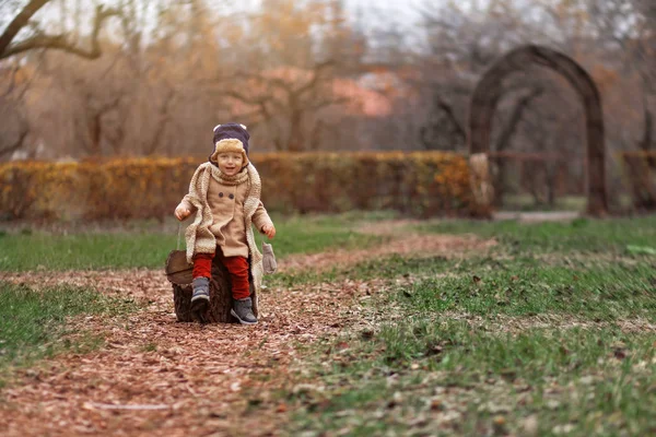 Kırsalda eğlenen sevimli küçük bir çocuk. Bebeğim dışarıda oynuyor, sonbahar zamanı kütüğün üzerinde oturuyor. — Stok fotoğraf