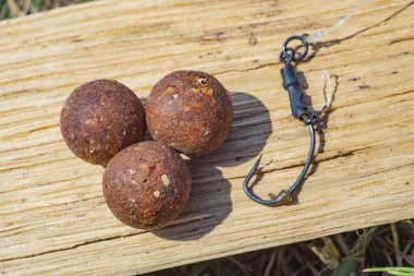 Complex-T Boilies with fishing hook. Fishing rig for carps, boilie rig, near the lake on a piece of wood clipart