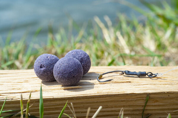 Mulberry Plum purple boilies with fishing hook. Fishing rig for carps, boilie rig, near the lake on a piece of wood