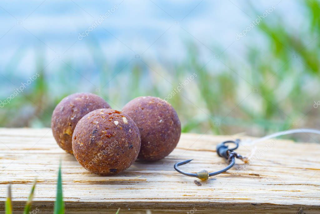The Source Boilies with fishing hook. Fishing rig for carps, boilie rig, near the lake on a piece of wood