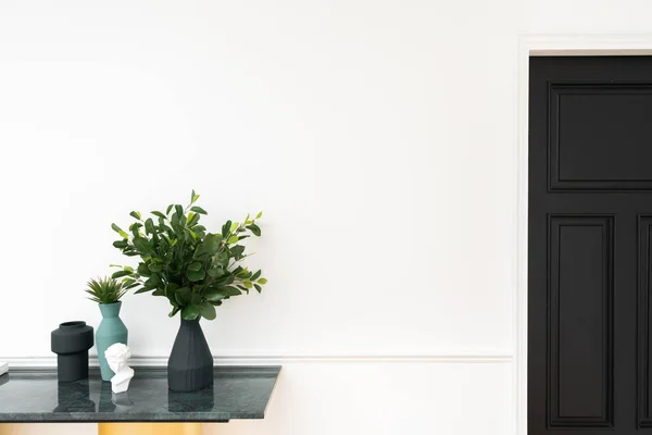 Composition of  black matt ceramic  vase and artificial plant in vase on green marble top with white spray-painted wall and black classic detail door in the background /apartment interior /object on white background