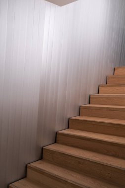 Alüminyum kaplama duvarlı ahşap merdiven ve ön planda yapay bitki / iç / merdiven / modern minimal stil